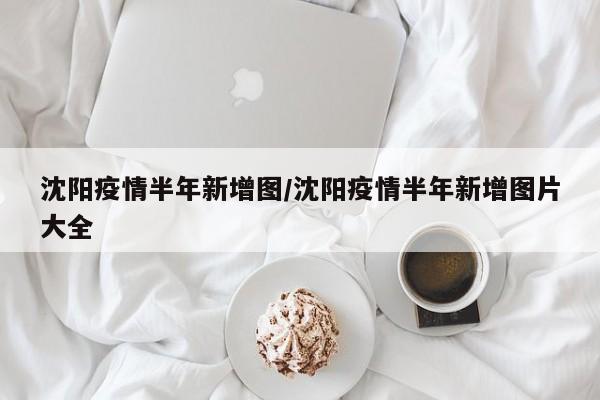 沈阳疫情半年新增图/沈阳疫情半年新增图片大全